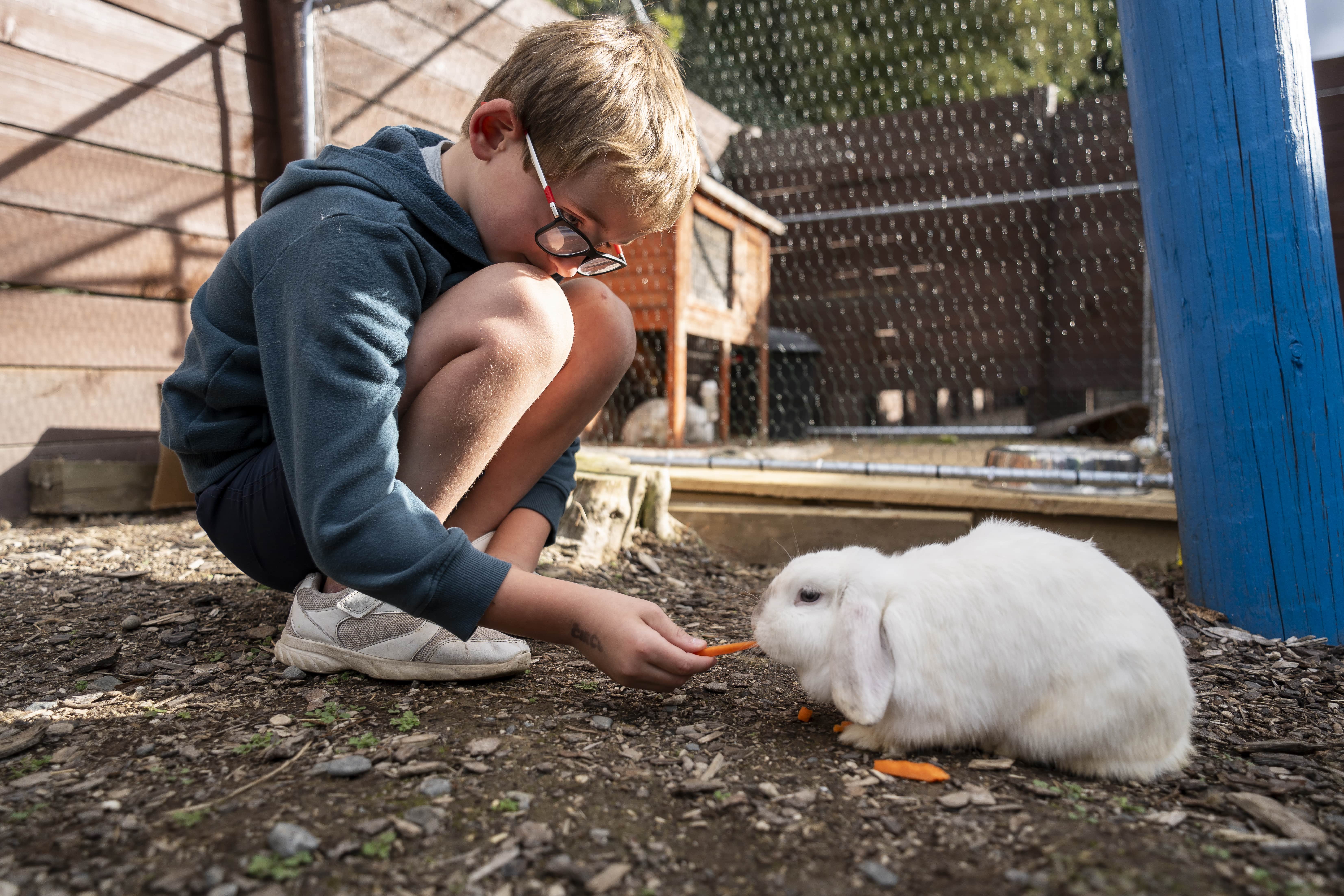 Insert photo of neon cave